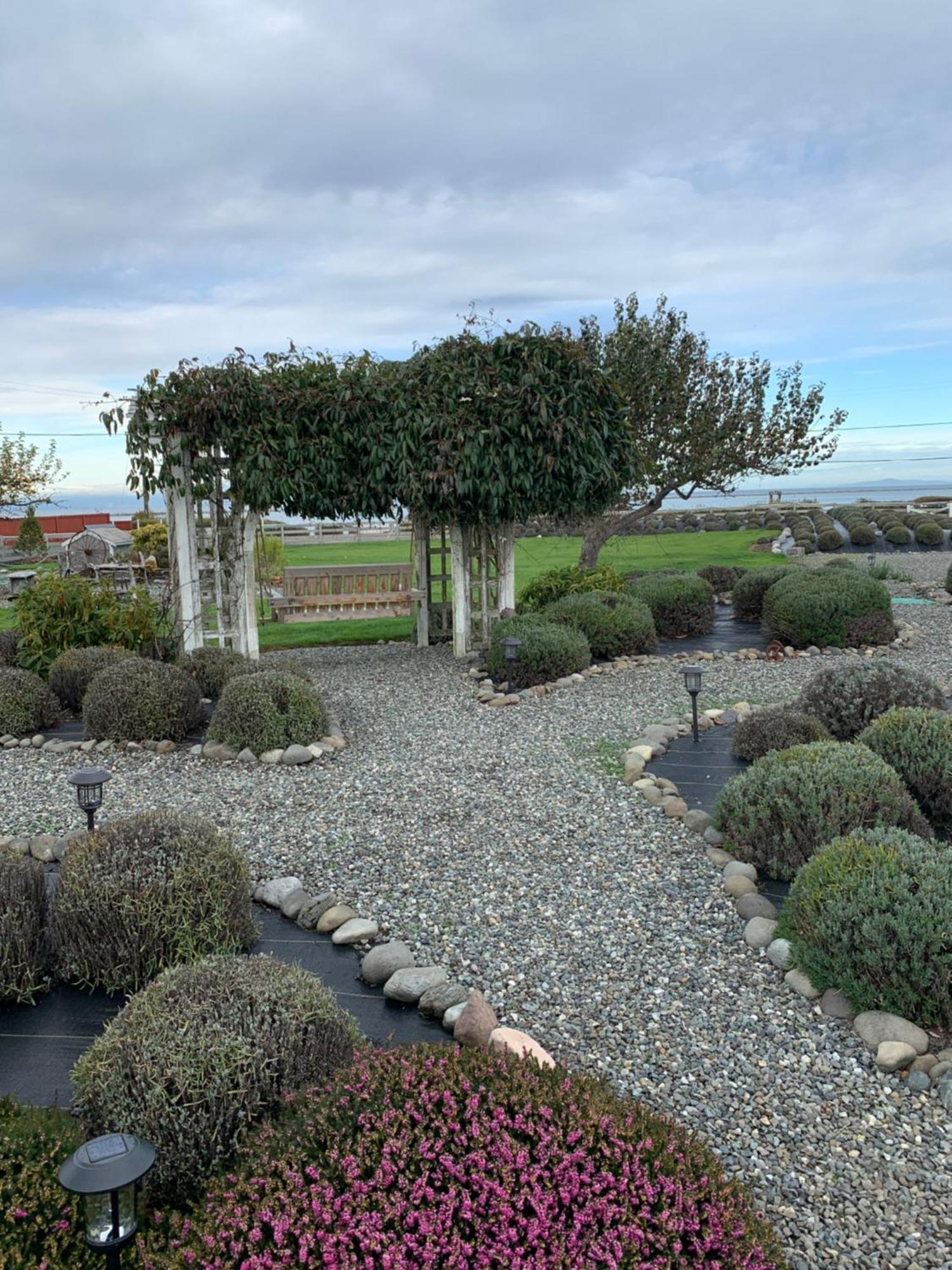 Dungeness Barn House Bed And Breakfast At Two Crows Farm Sequim Ngoại thất bức ảnh