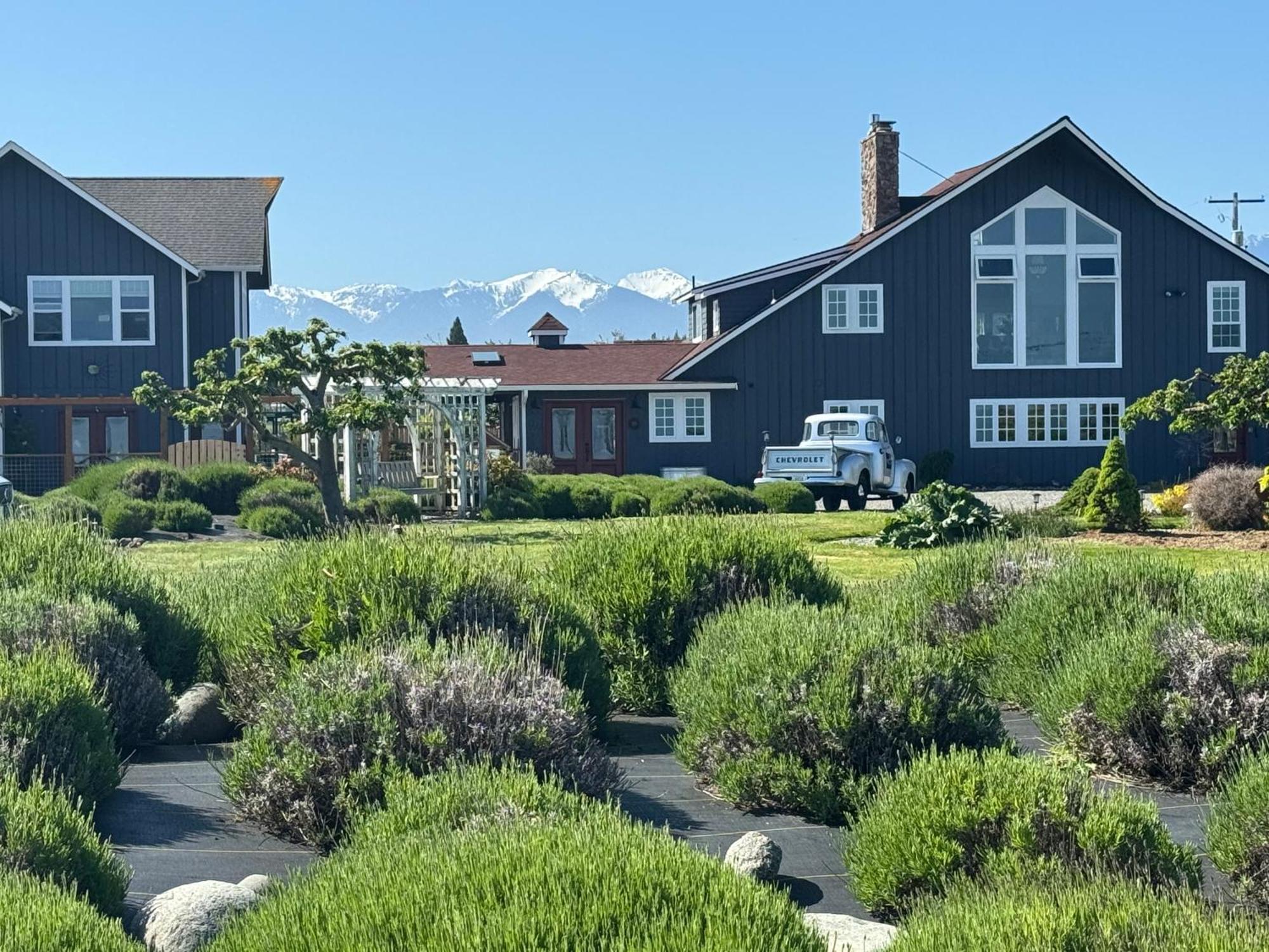 Dungeness Barn House Bed And Breakfast At Two Crows Farm Sequim Ngoại thất bức ảnh