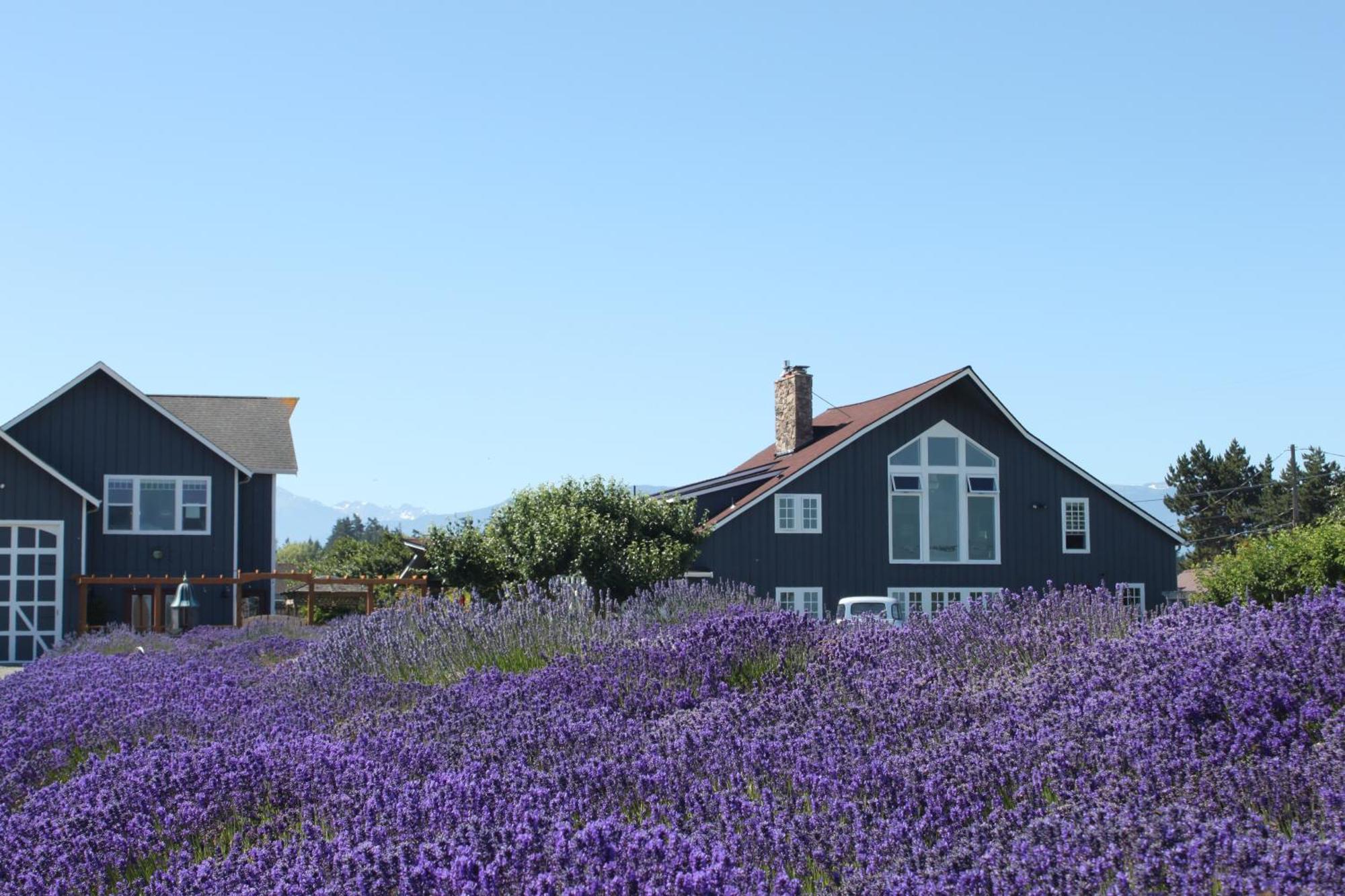 Dungeness Barn House Bed And Breakfast At Two Crows Farm Sequim Ngoại thất bức ảnh