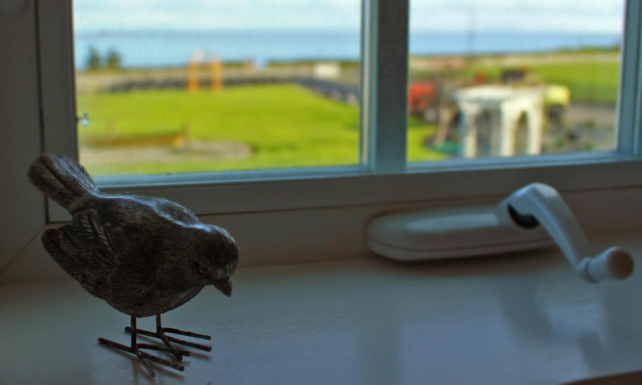 Dungeness Barn House Bed And Breakfast At Two Crows Farm Sequim Ngoại thất bức ảnh